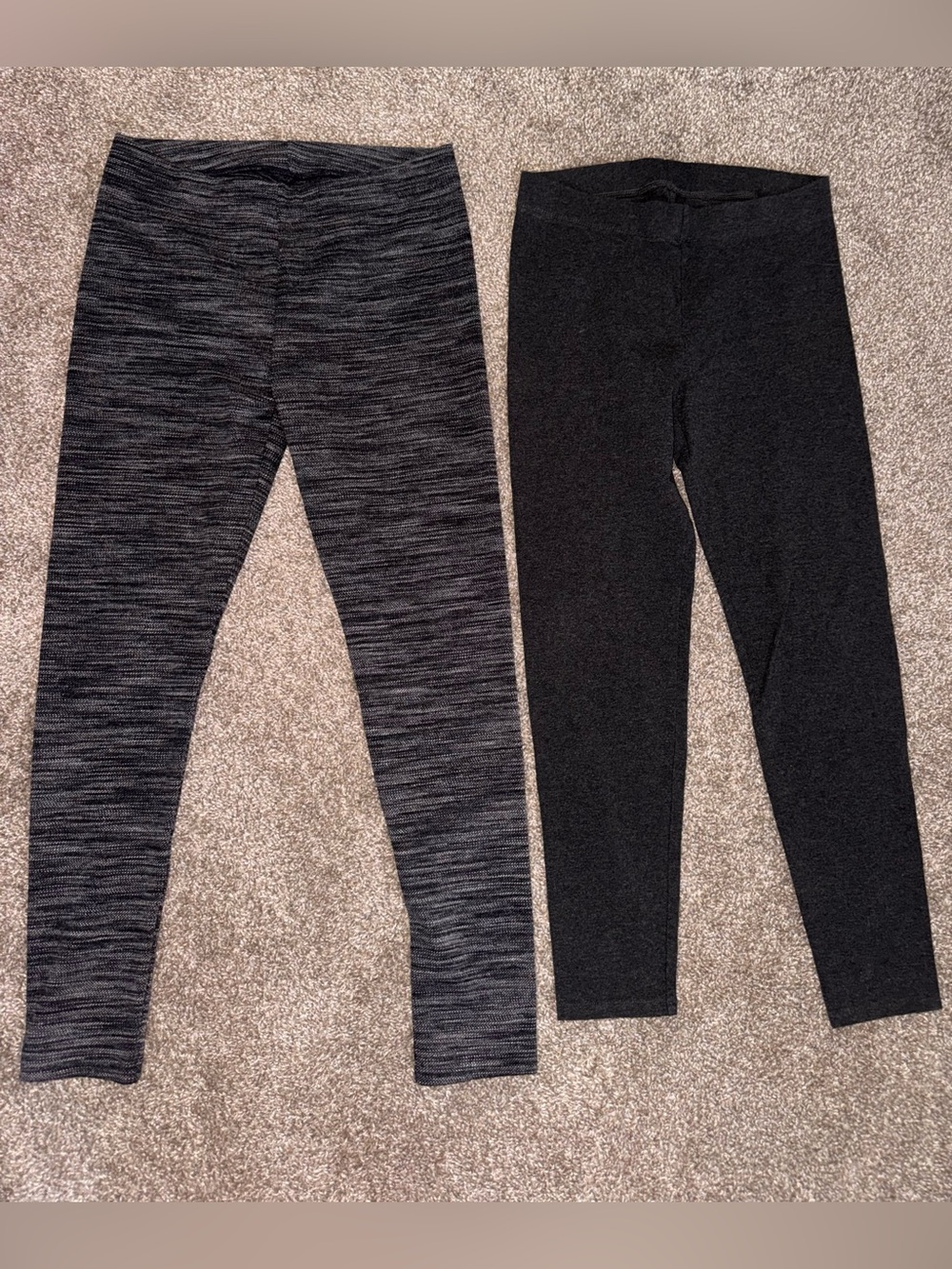 LOFT Women's Leggings Duo